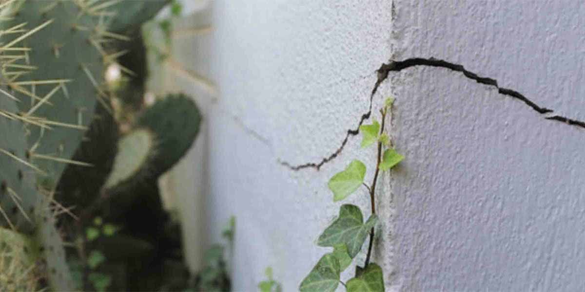Fissures sur maison causées par le retrait-gonflement des argiles